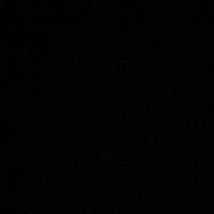 Meet your Posher, Maya